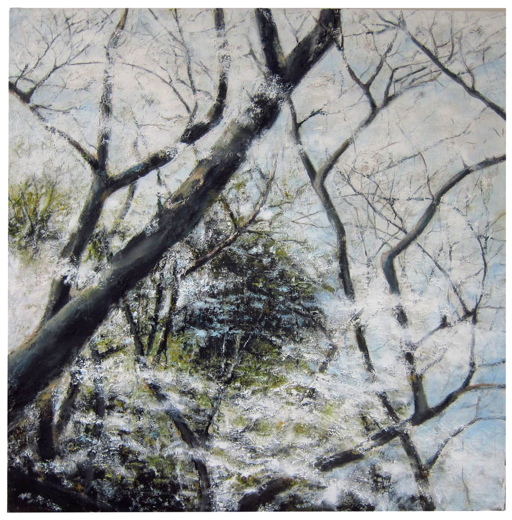 Hiroshima 34.3853° N, 132.4553° E