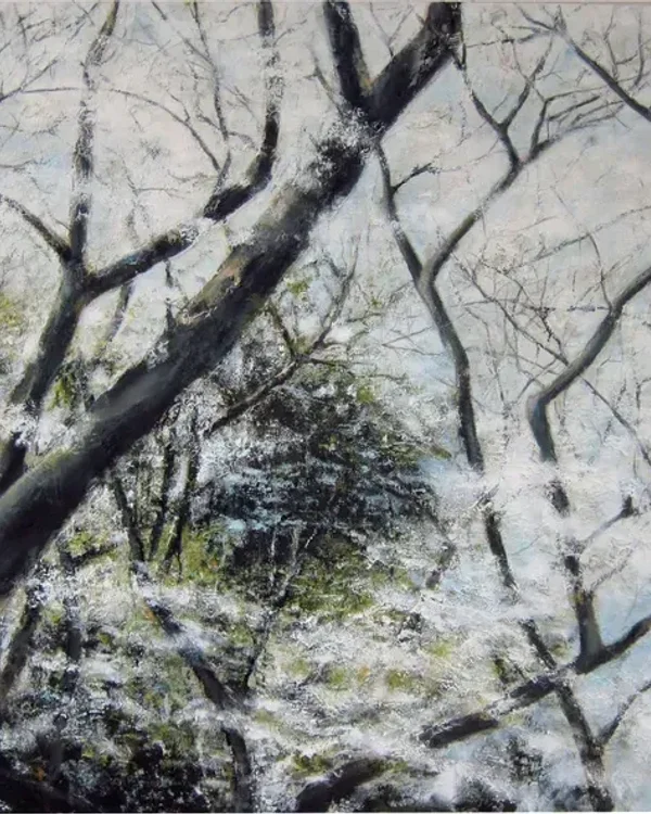 Hiroshima 34.3853° N, 132.4553° E